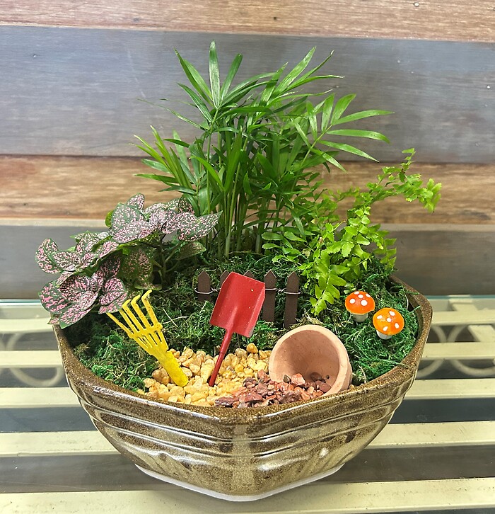 8" Fairy Garden